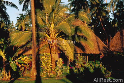Jean-Michel Cousteau Fiji Islands Resort 49